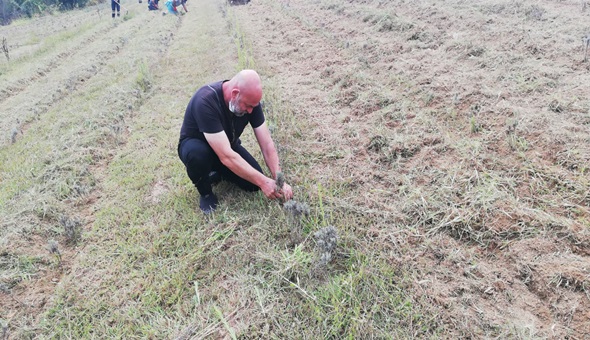 Lavanta kokulu İzmit