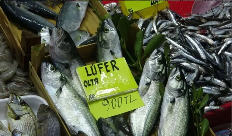 Lüferin kilosu 900 liralara kadar yükseldi