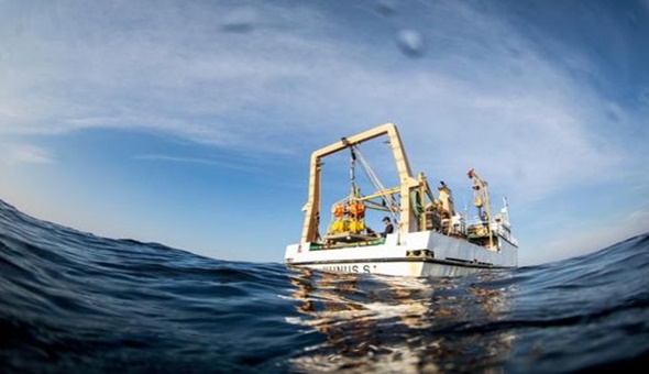 Marmara Denizi’nde akılalmaz hırsızlık 