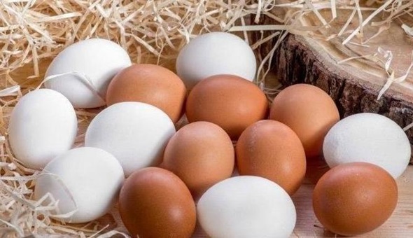 Mobilya, yumurta ve su ürünlerinde KDV indirimi