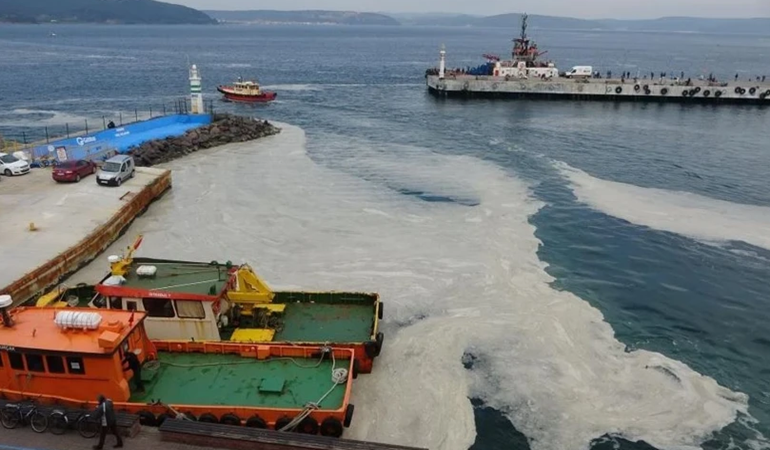 Müsilajın nedeni kanalizasyon suları mı?