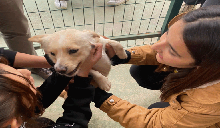 Öğrencilerden can dostlarımıza ziyaret 