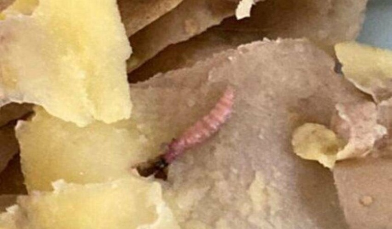 Öğrencilerin yemeğinde mide bulandıran görüntü