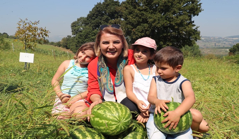 Orman Okulu’nun minikleri Fatma Ablalarıyla karpuz hasadı yaptı