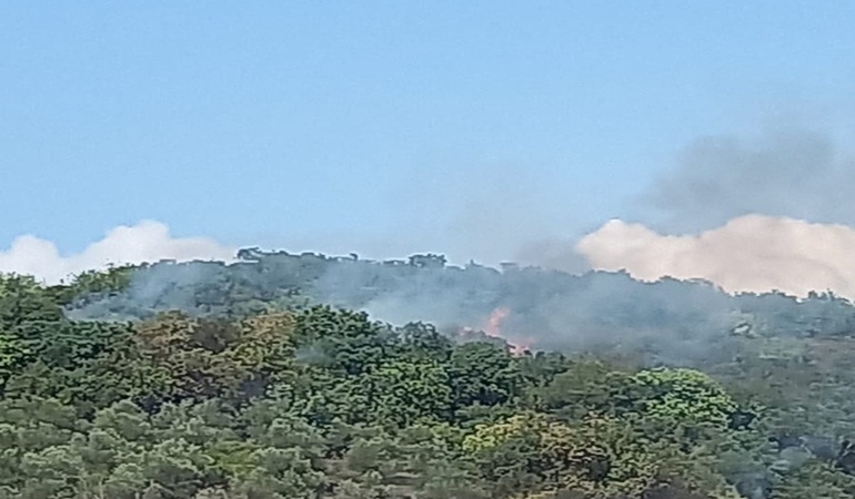 Orman yangını nedeniyle iki ilçenin elektriği kesildi