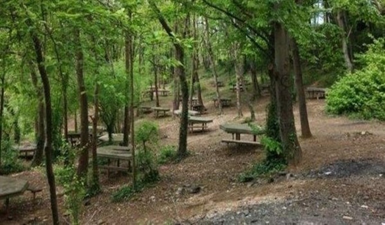 Ormana giriş yasaklandı