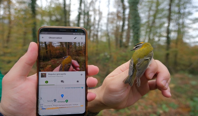 Ormanya’da 494 canlı türü tespit edildi!