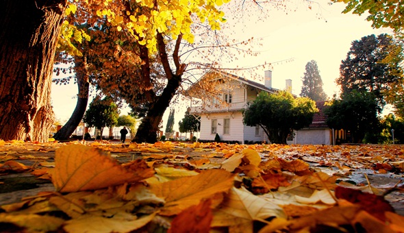 Osman Hamdi Bey Evi Bakanlığın prestij müzesi olacak