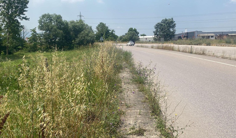 Ot siyaseti yapan AKP'liler buraları görmüyorlar mı?