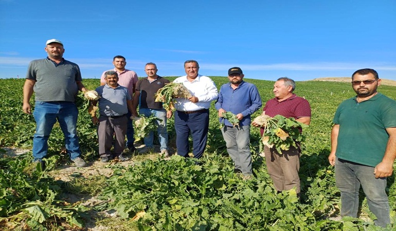 Pancar üretiminde de sıfırı tükettik