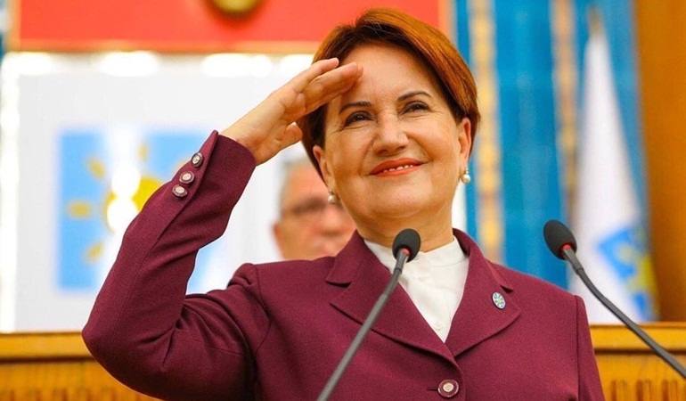 Patates soğan güle güle Erdoğan