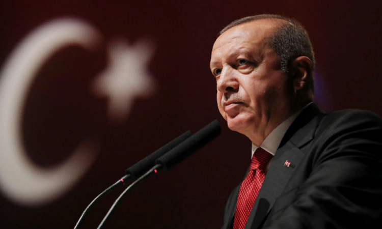 Pelikan grubu Erdoğan’a karşı harekete geçti