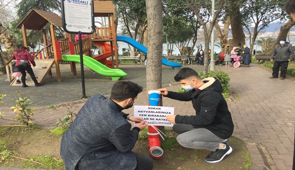 Saadet Gölcük gençliği sokak hayvanlarını unutmadı