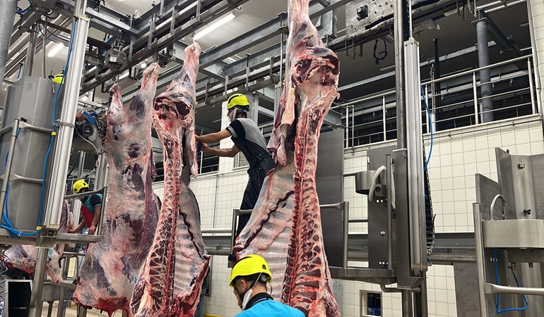 Sakatatları gelişigüzel çöpe atmayın!