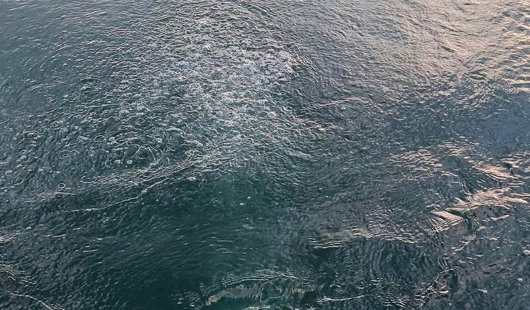 Sapanca Gölü'nde korkutan fokurdama!