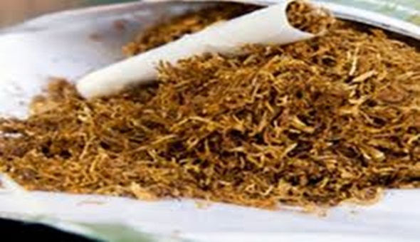 Sarma sigara yasaklanıyor 