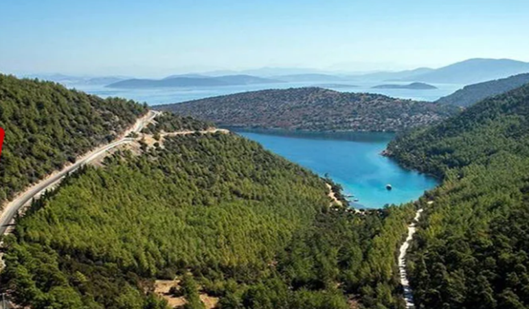 Satışa çıkarılan arazilerin büyüklüğü 4 ülkeyi aşıyor