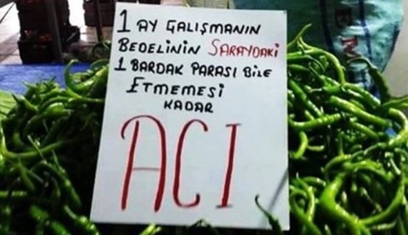 Sattığı biberin etiketine şunları yazdı