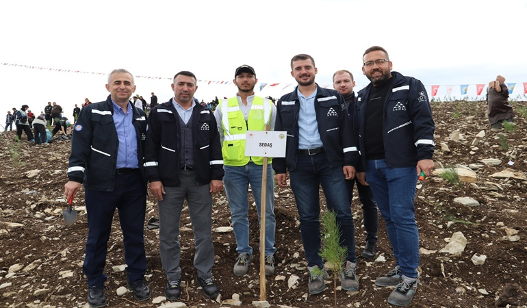 SEDAŞ, 500 fidanı toprakla buluşturdu