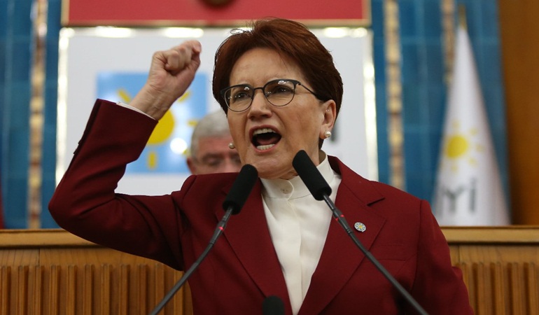 Sen, bostan korkuluğu musun Sayın Erdoğan?