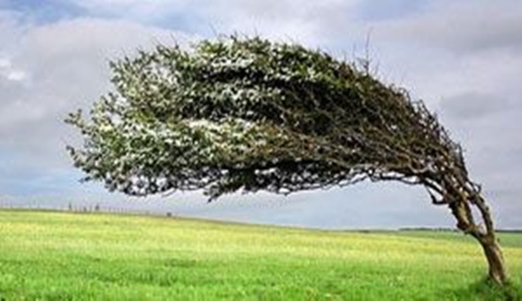 Sert fırtına geliyor