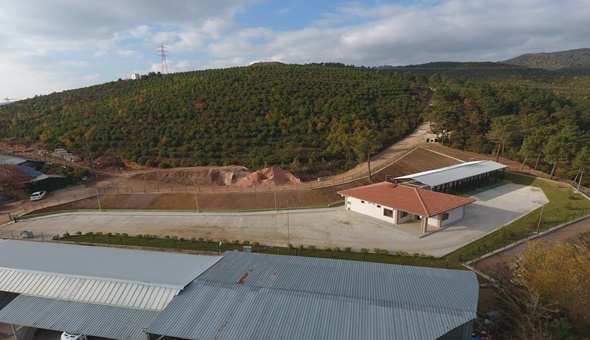 Sokak Hayvanları Rehabilitasyon Merkezi açılıyor