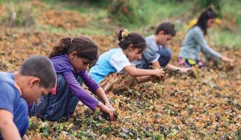 AKP döneminde 907 çocuk çalışırken hayatını kaybetti