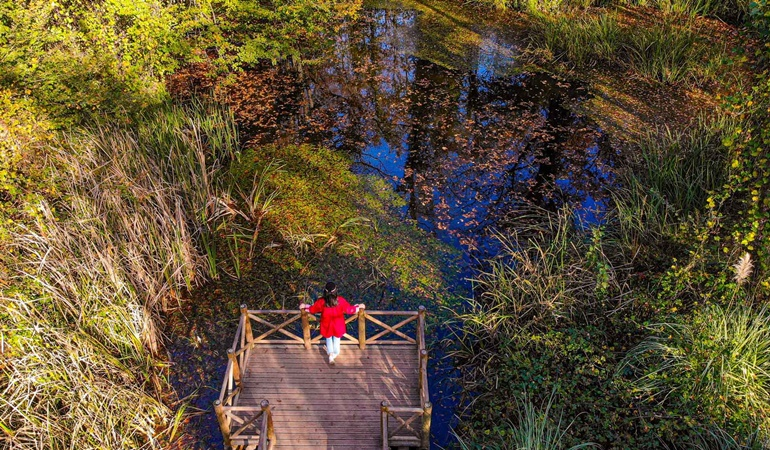 Sonbahar, Ormanya’da bir başka güzel!