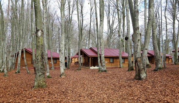Sonbaharın tüm renkleri ve güzellikleri Eriklitepe'de