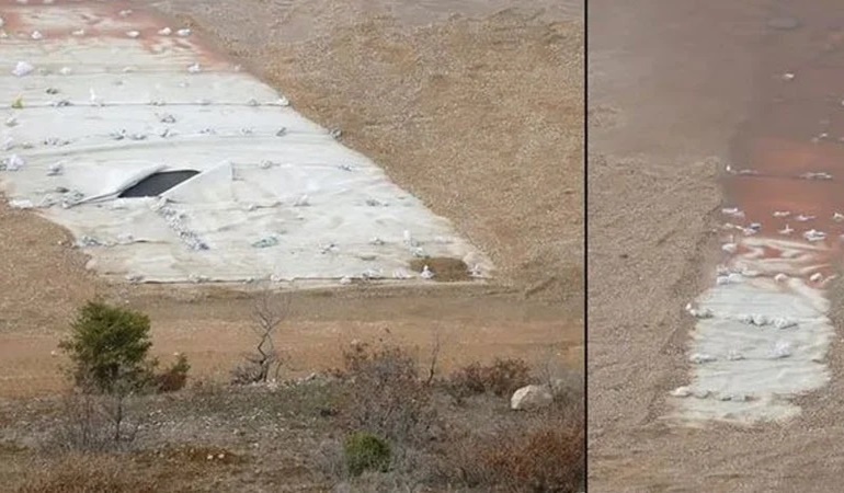 Su içmeye inen kuşlar can çekişerek öldü