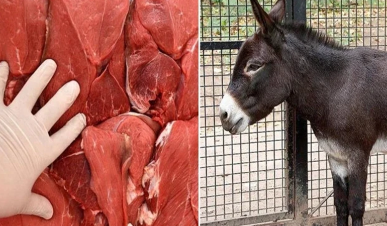Sucuk ve kıymadan at, eşek, zebra eti çıktı!