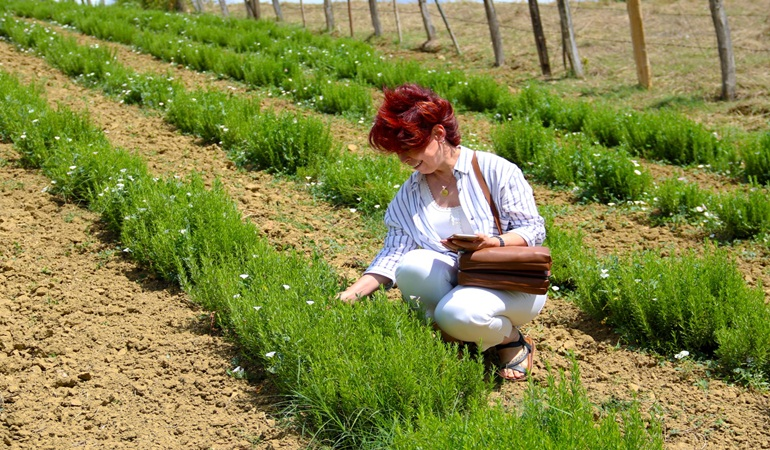 TABİP her kesimden büyük ilgi görüyor