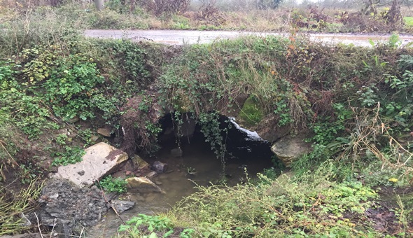 Tarihi köprü gün yüzüne çıkıyor