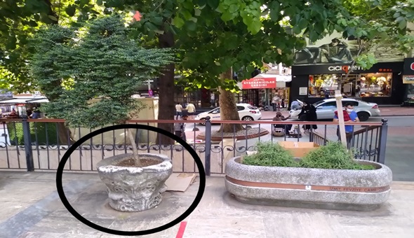 Tarihi taşı saksı yaptılar!