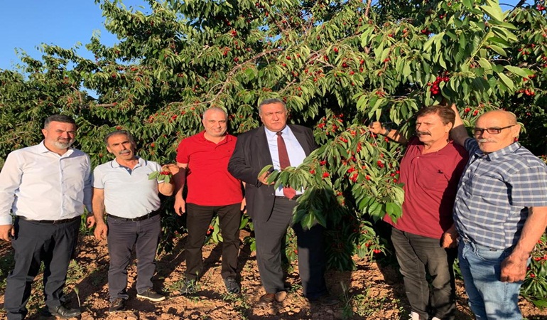 Tarım Kredi Marketleri devreye girsin