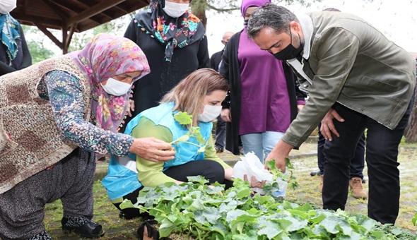 Tarımsal destek amaçlı alınan fideleri Hürriyet, elleriyle dağıttı 