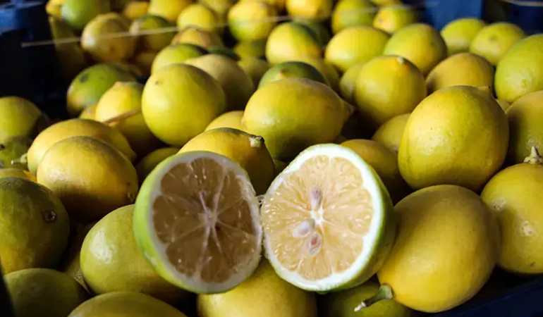 Tarla ile market arasında uçurum var