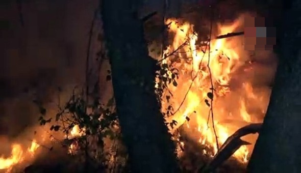 Tavuk çiftliği alev aldı