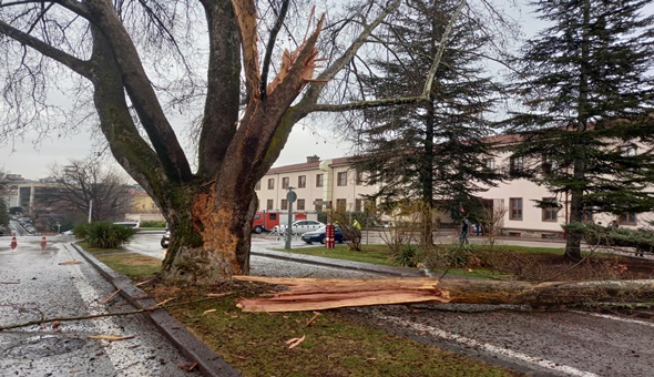 TBMM'nin bahçesine yıldırım düştü