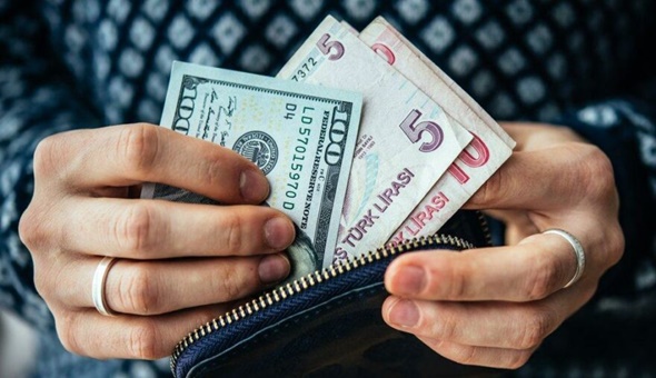 TL değer kaybında açık farkla birinci 