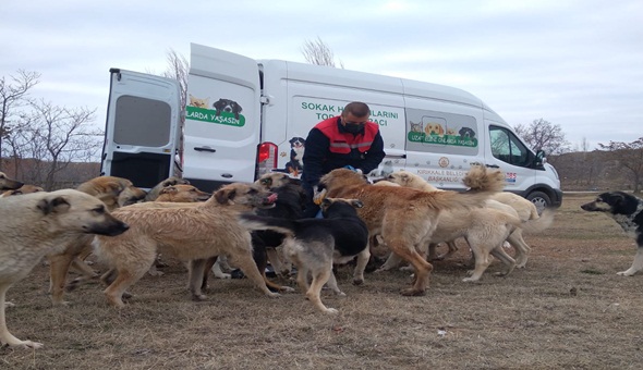 Tüpraş, sokak hayvanlarının yiyecek ihtiyacı için desteğini sürdürüyor