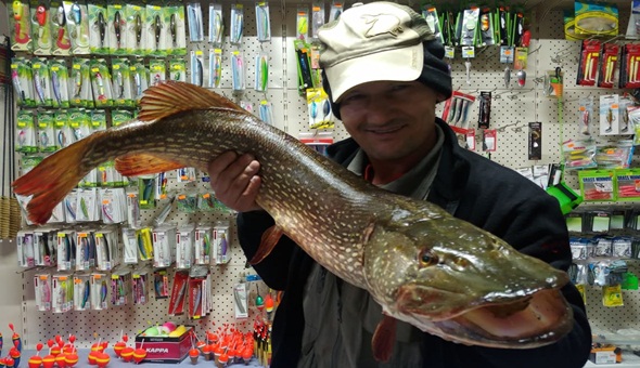 Turna balığı av yasağı sona erdi