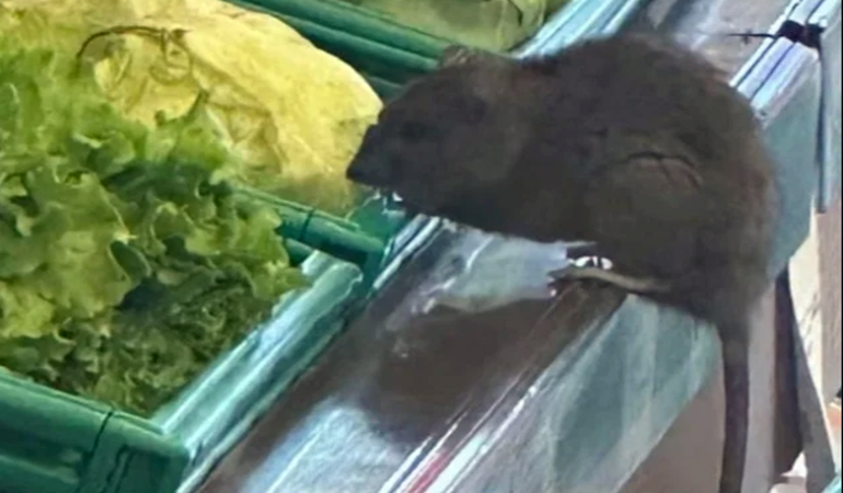 Üç harfli zincir markette fareler geziyor!