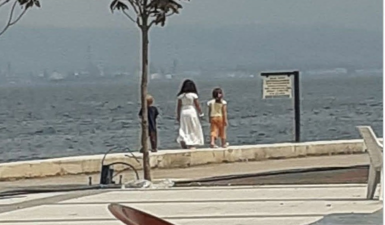 Ulaşlı sahiline korkuluk isteniyor