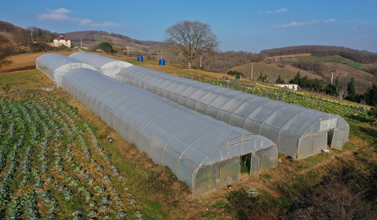 Üreticilere yüzde 50 hibeli modern sera desteği
