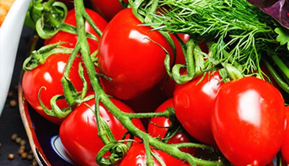 Yediğimiz gıdalara zehir karıştı