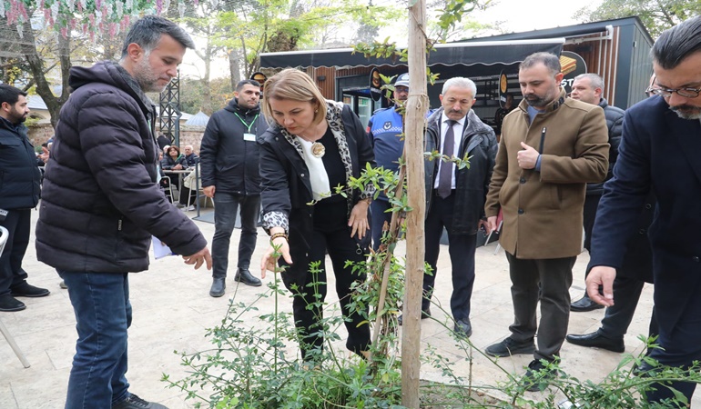 Yeni Cuma Parkı botanik bahçesine dönüşecek!