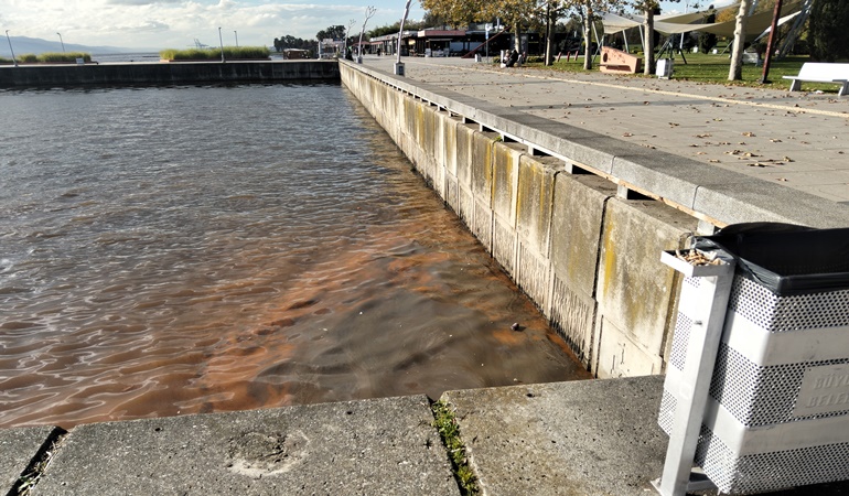 Yer İzmit Seka park sahili, deniz kirli