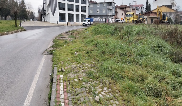 Yine mi sen Kartepe!