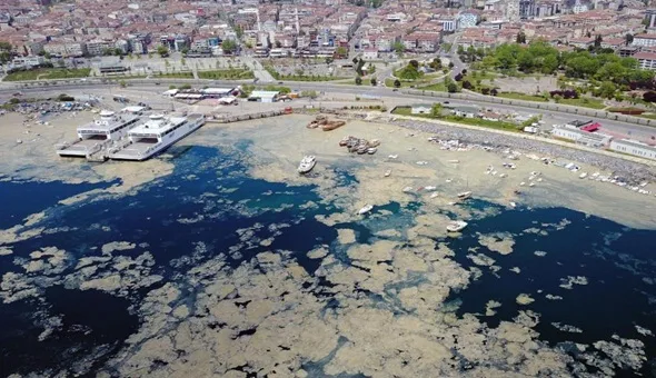 Sermayenin denizi kendi çöplüğü olarak kullanmasının sonucunu yaşıyoruz